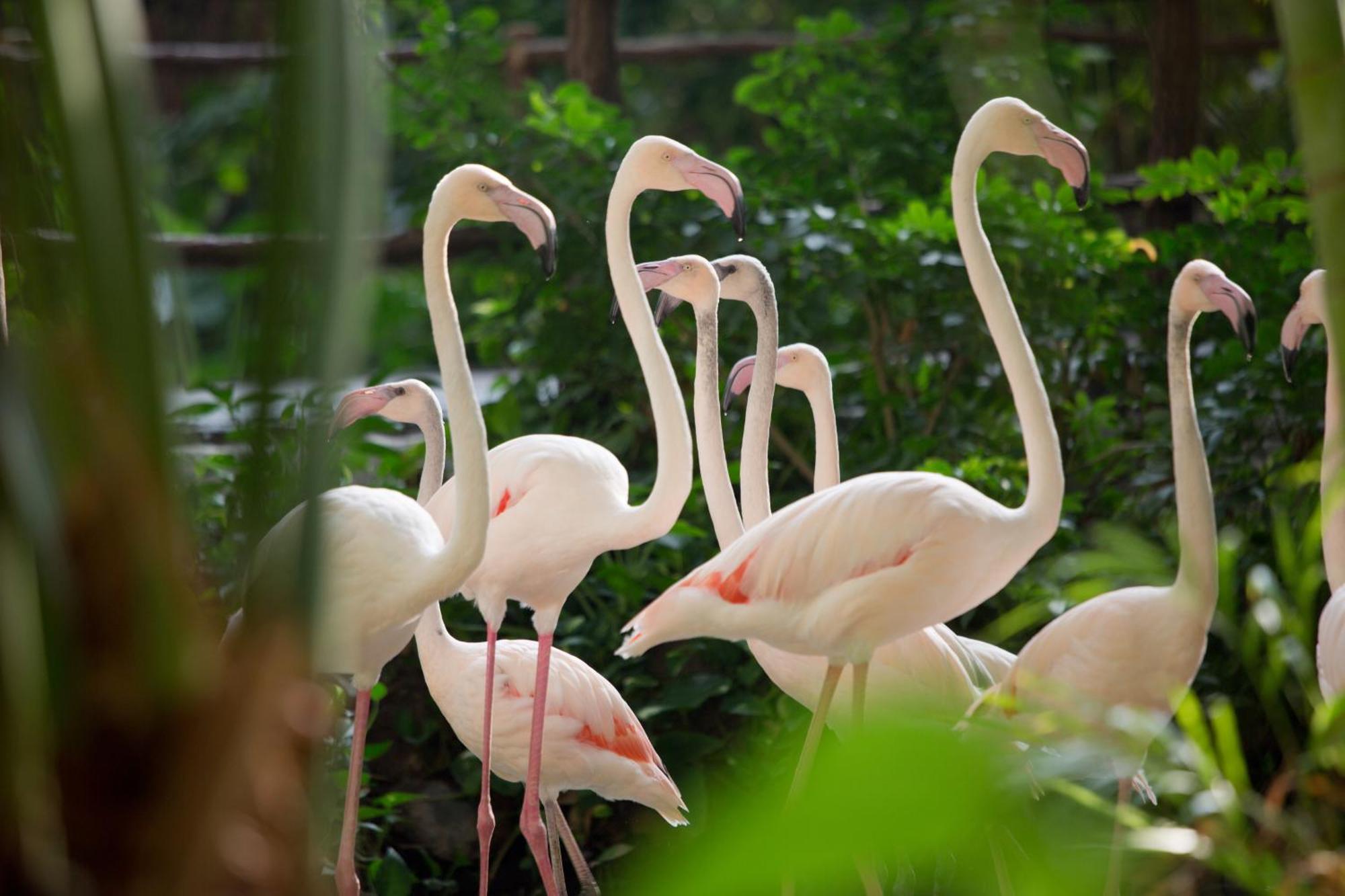 Tropical Islands Resort Briesen  Eksteriør billede