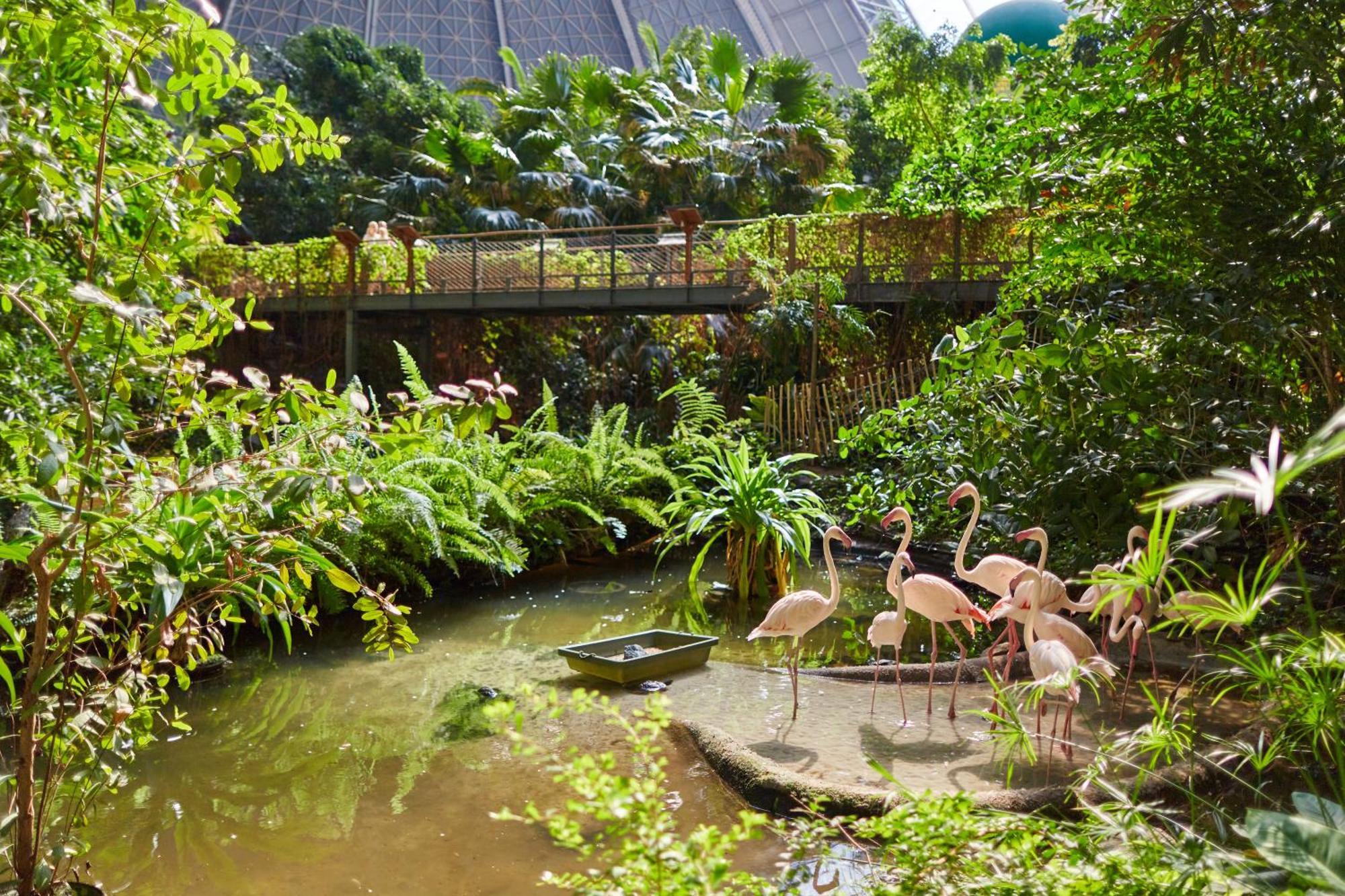 Tropical Islands Resort Briesen  Eksteriør billede